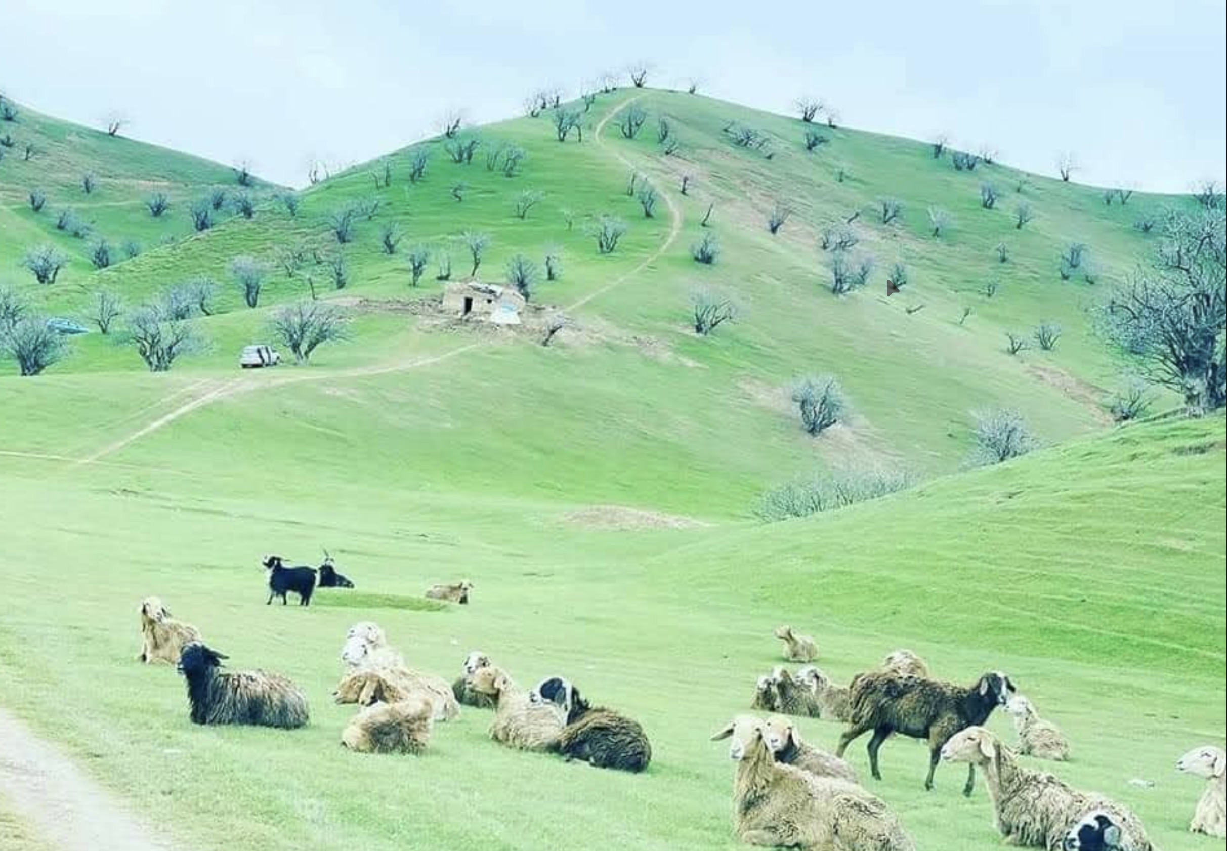 Badghis Hills & Nomadic Pastures