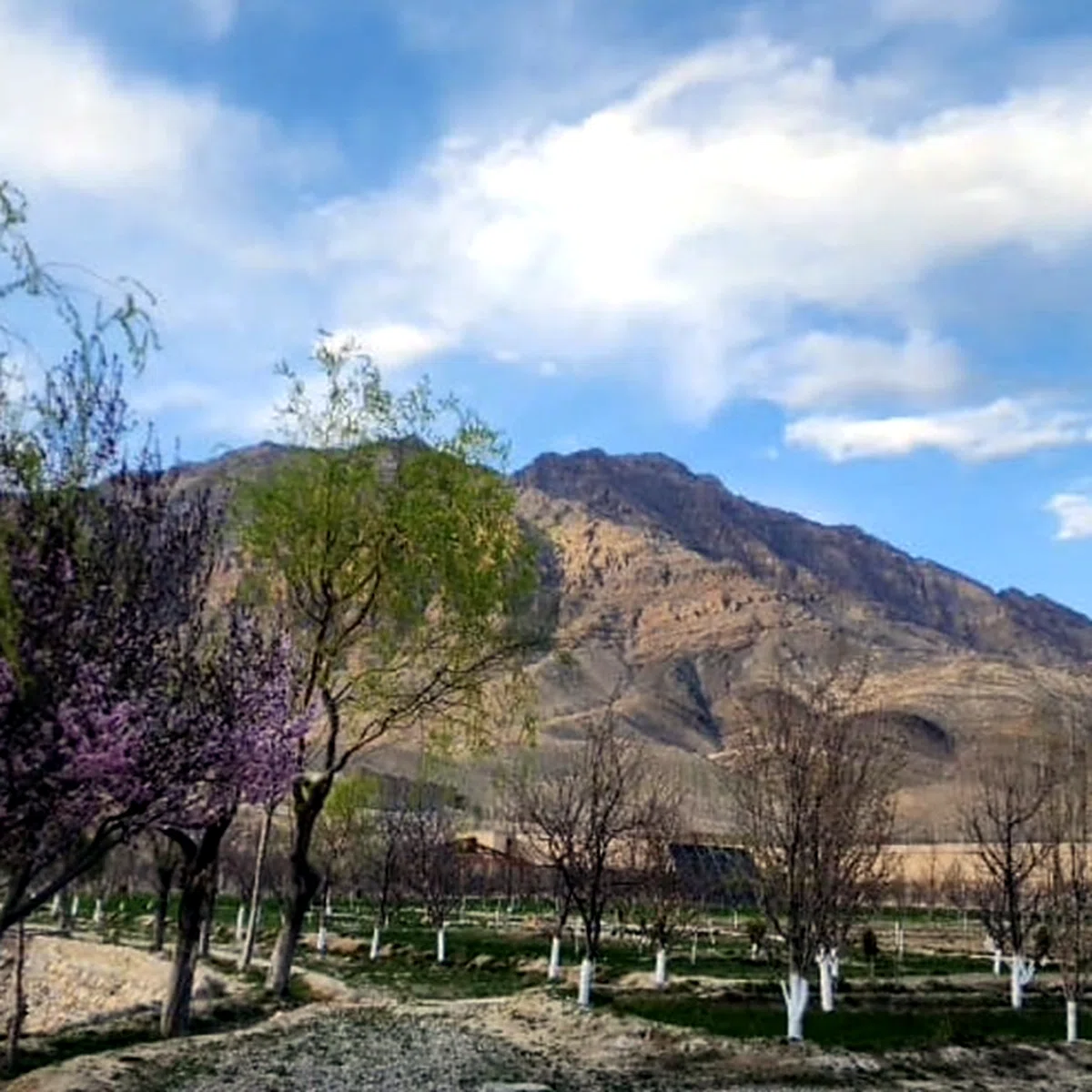 Khurd-Kabul Pass — view 3