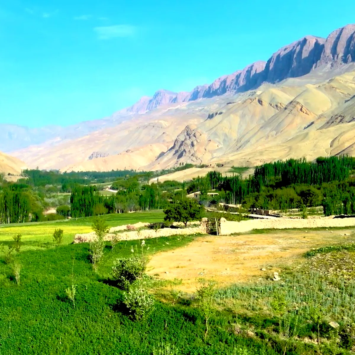 Sar-e-Pol Meadows — view 3
