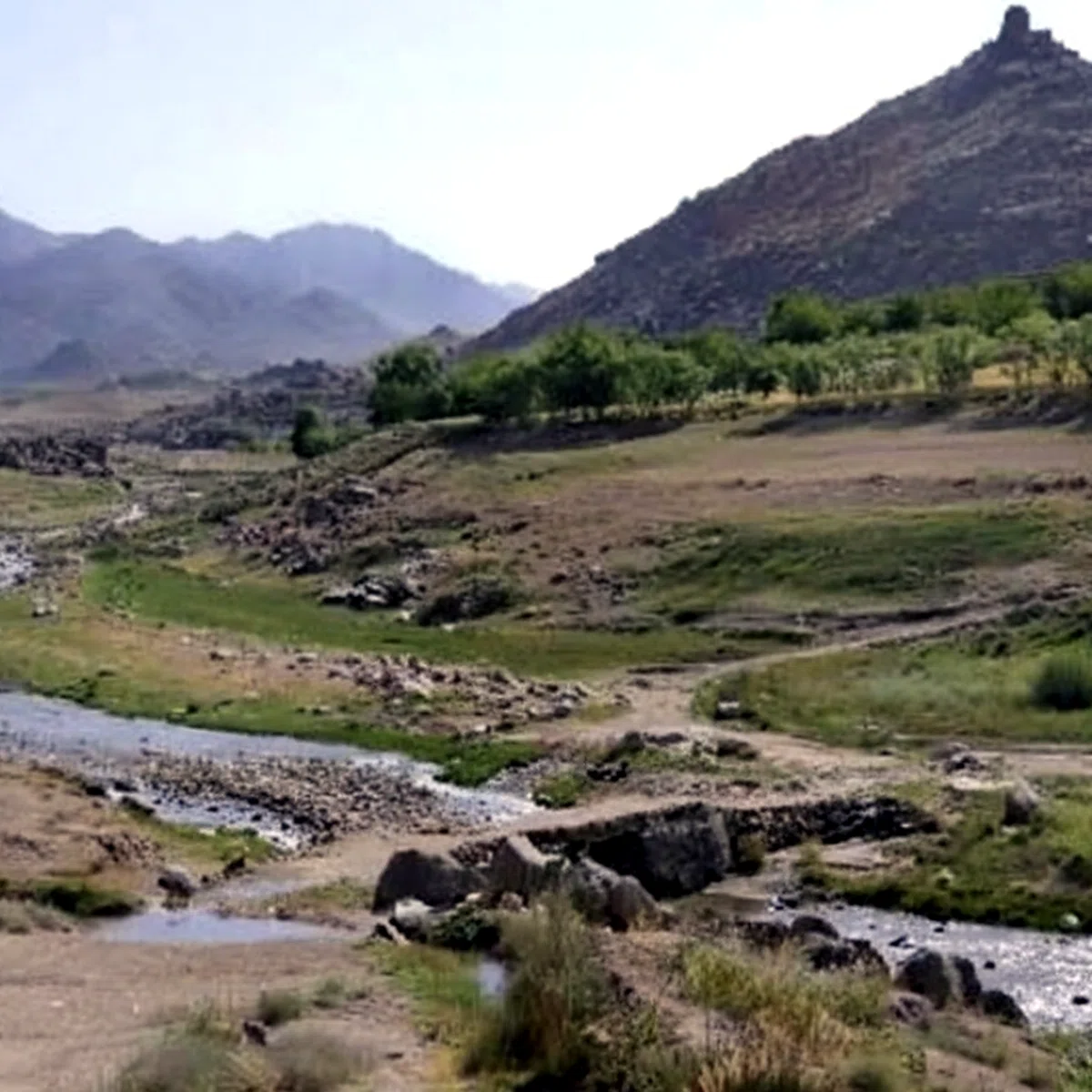 Shahjoy & Qalat Valleys — view 3