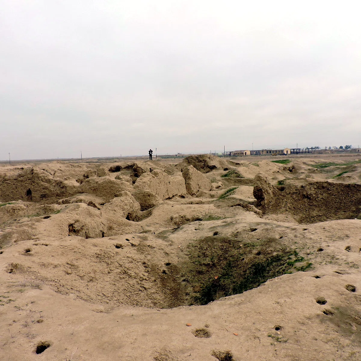 Tala Tepe — view 4