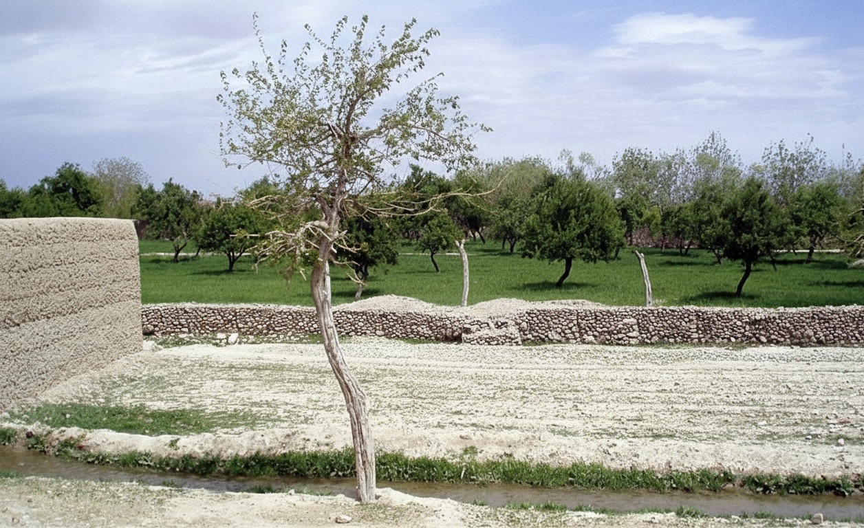 Tarin Kot Surroundings