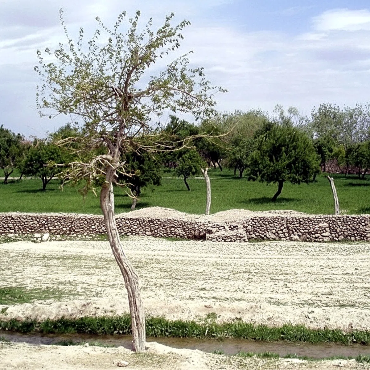 Tarin Kot Surroundings — view 3