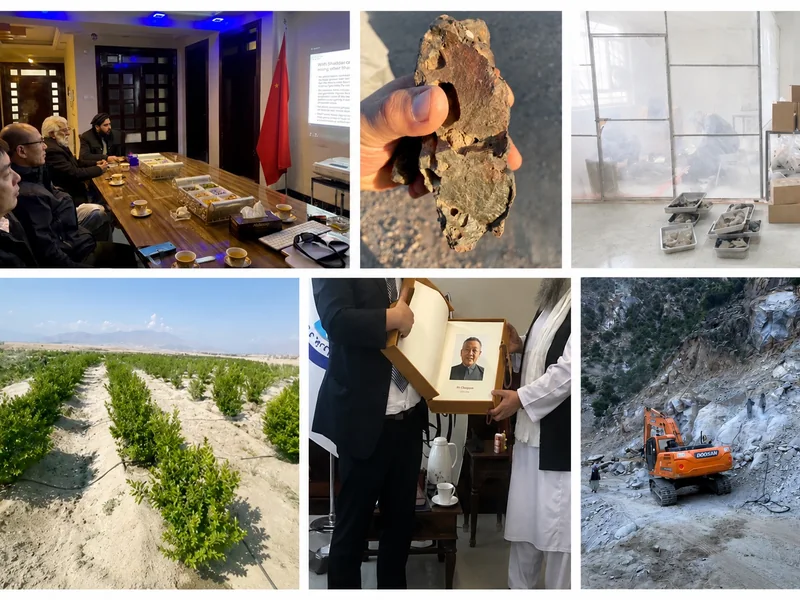 Business & Investment visual journey