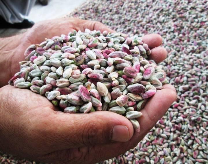 Samangan Pistachios