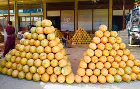 Balkh Melon
