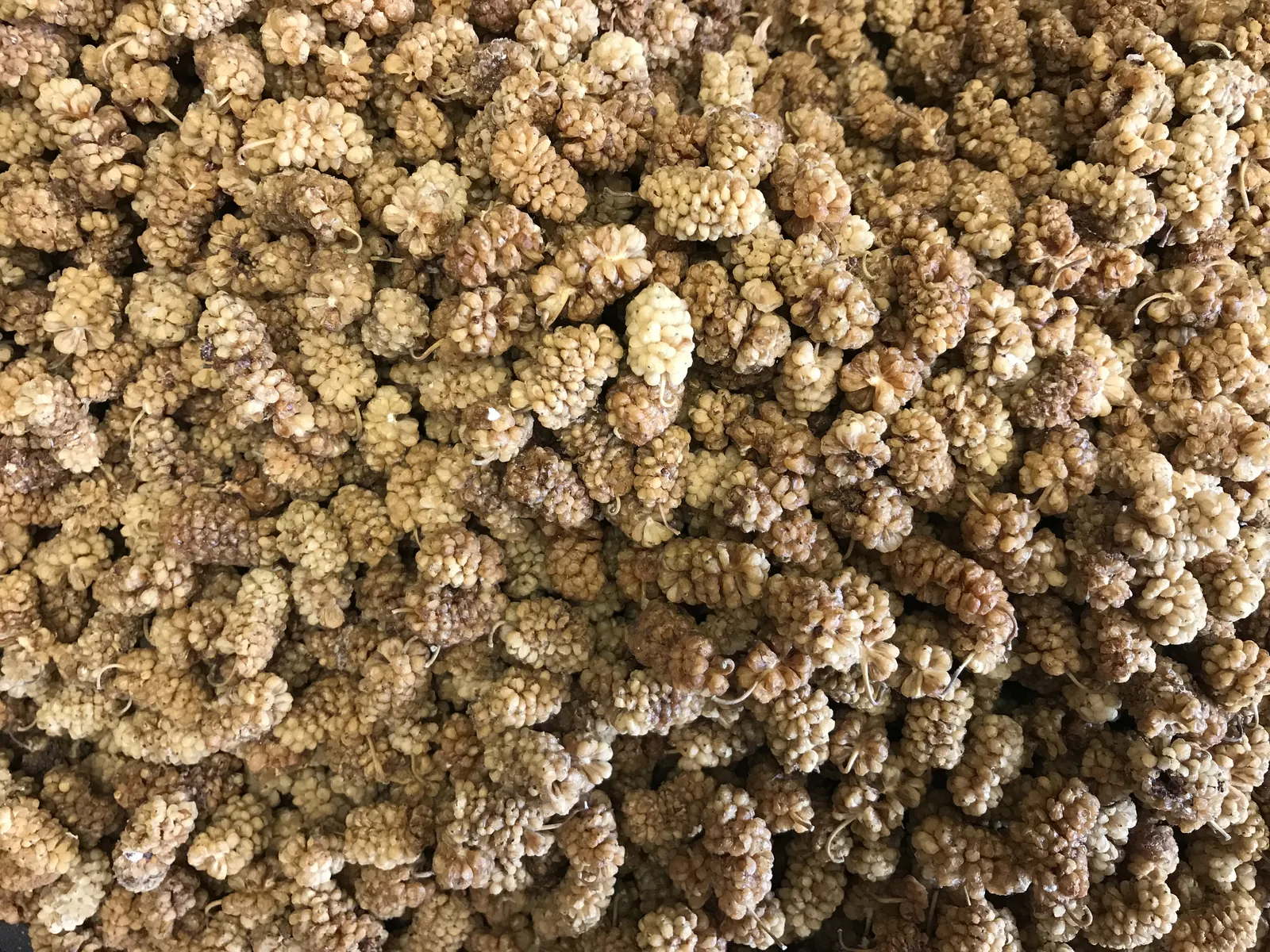 Dried white mulberries