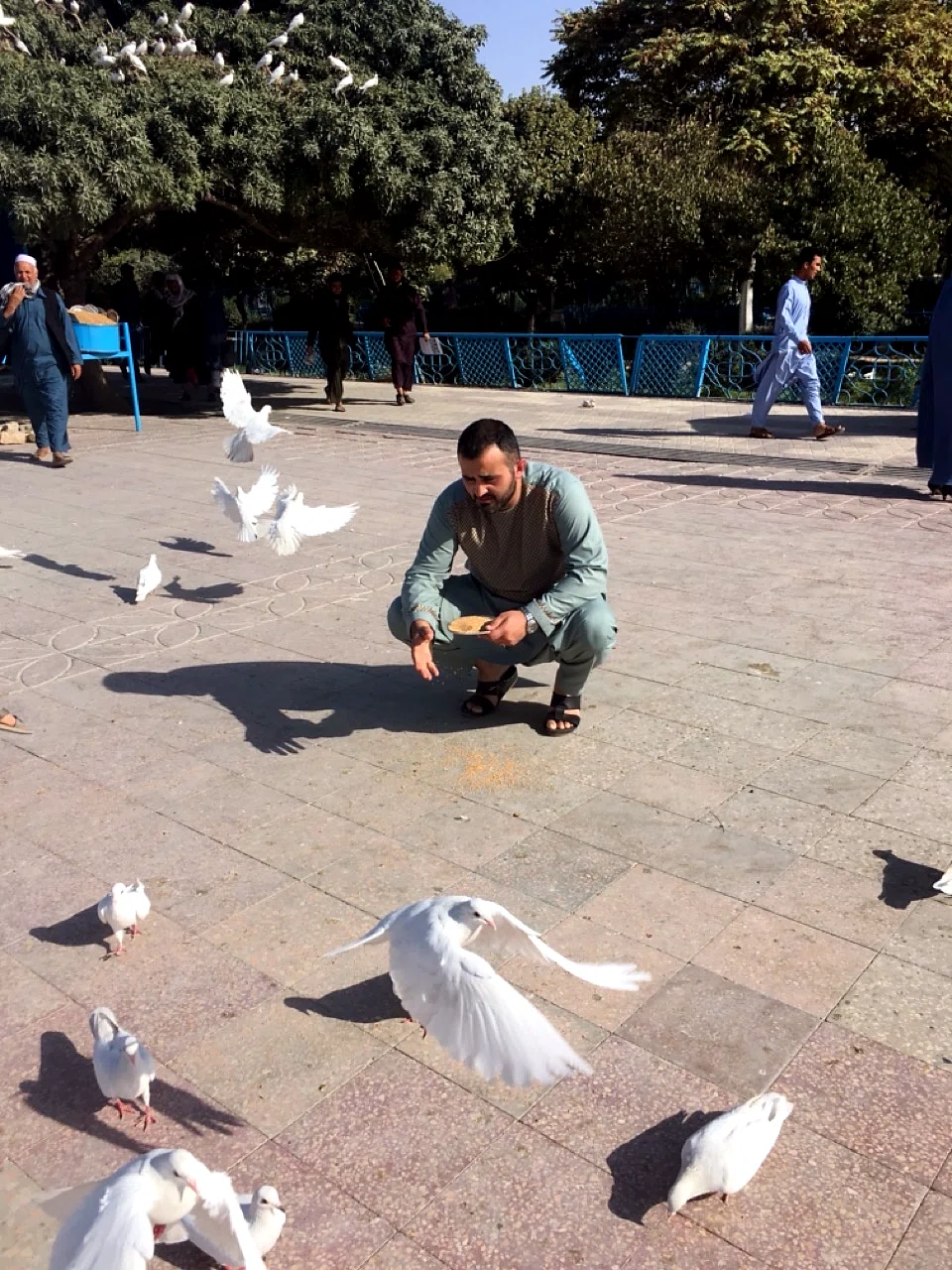 The Sweet Streets of Mazar & Sesame Seed Palaw — image 4