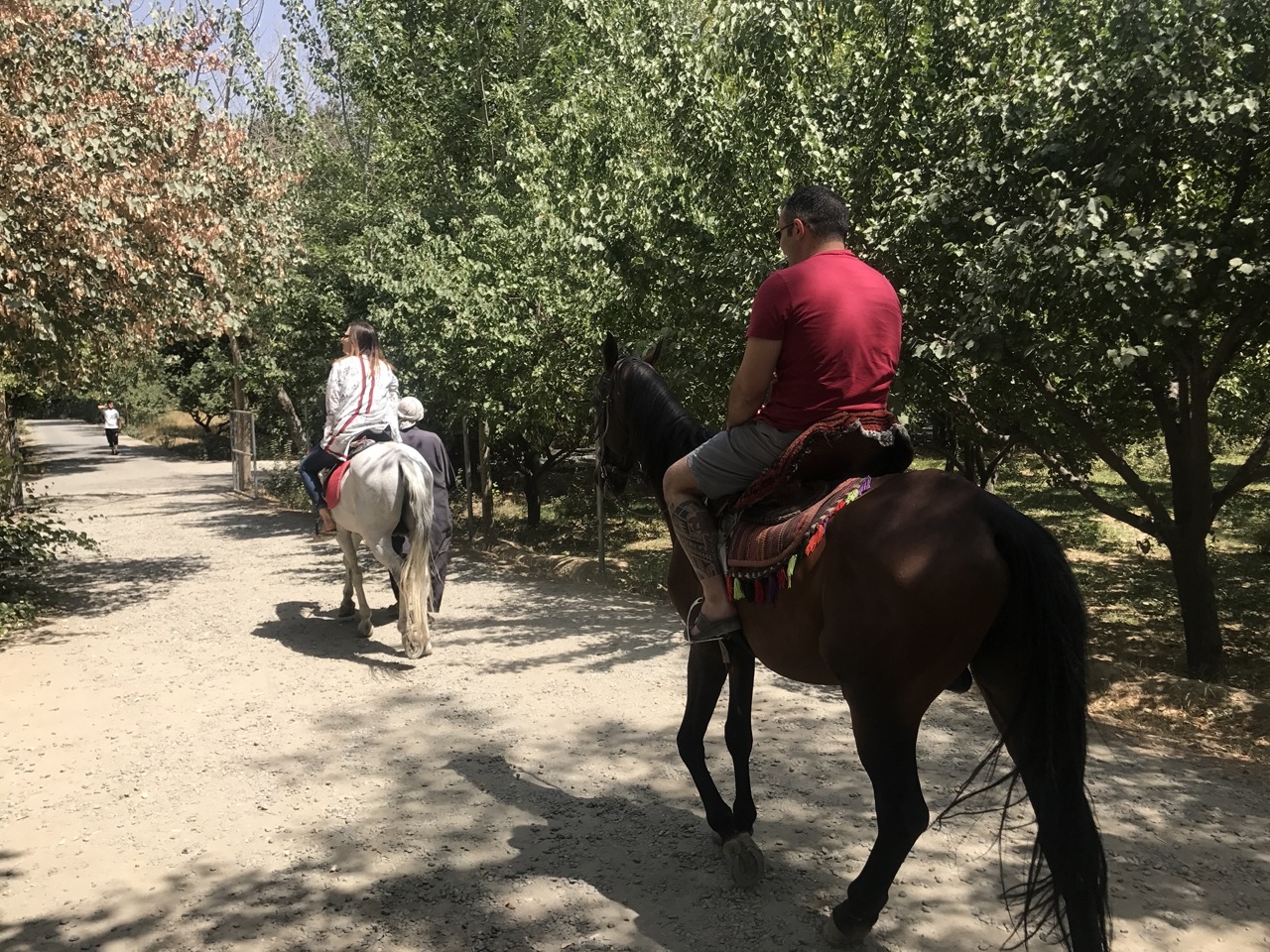Travelers riding horses along a rural path in Afghanistan