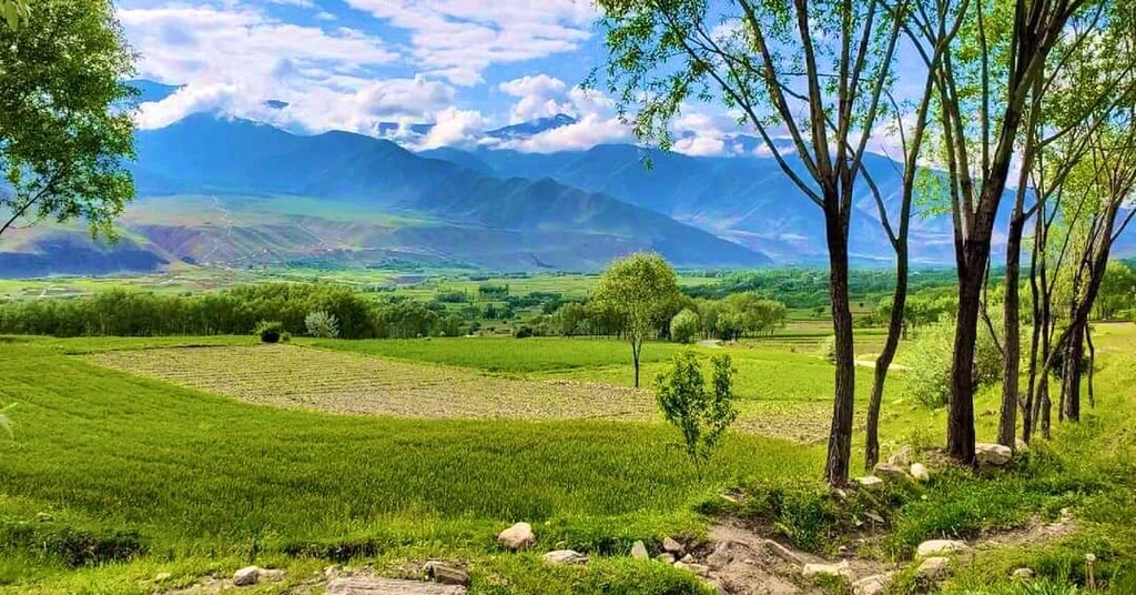 Laghman