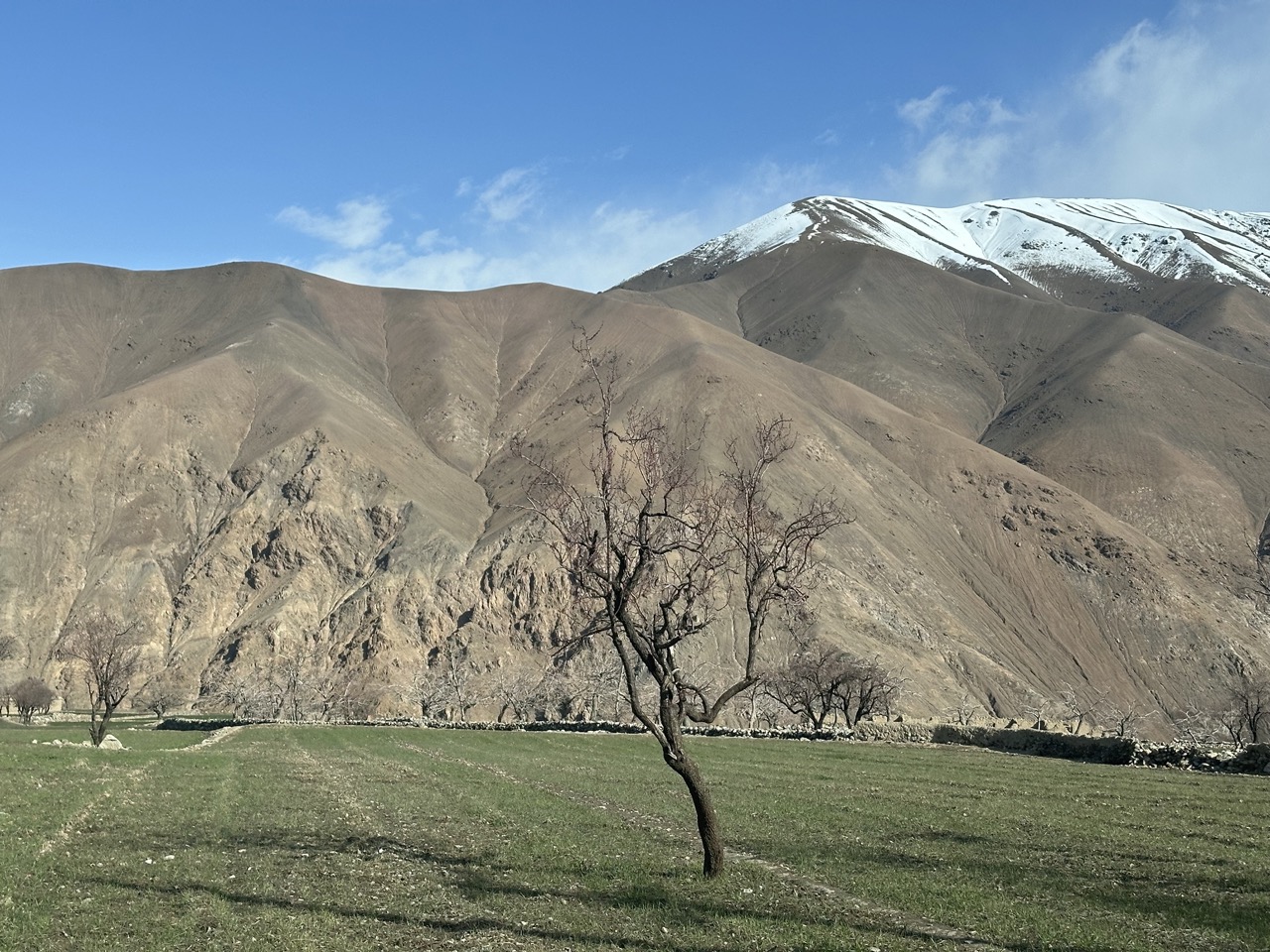 Parwan