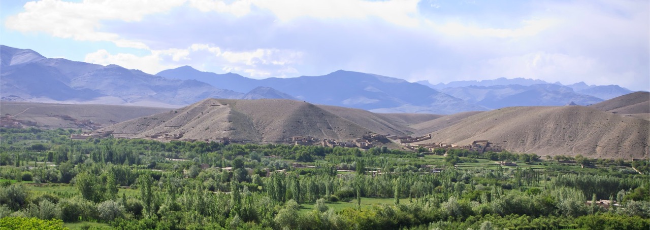Wardak
