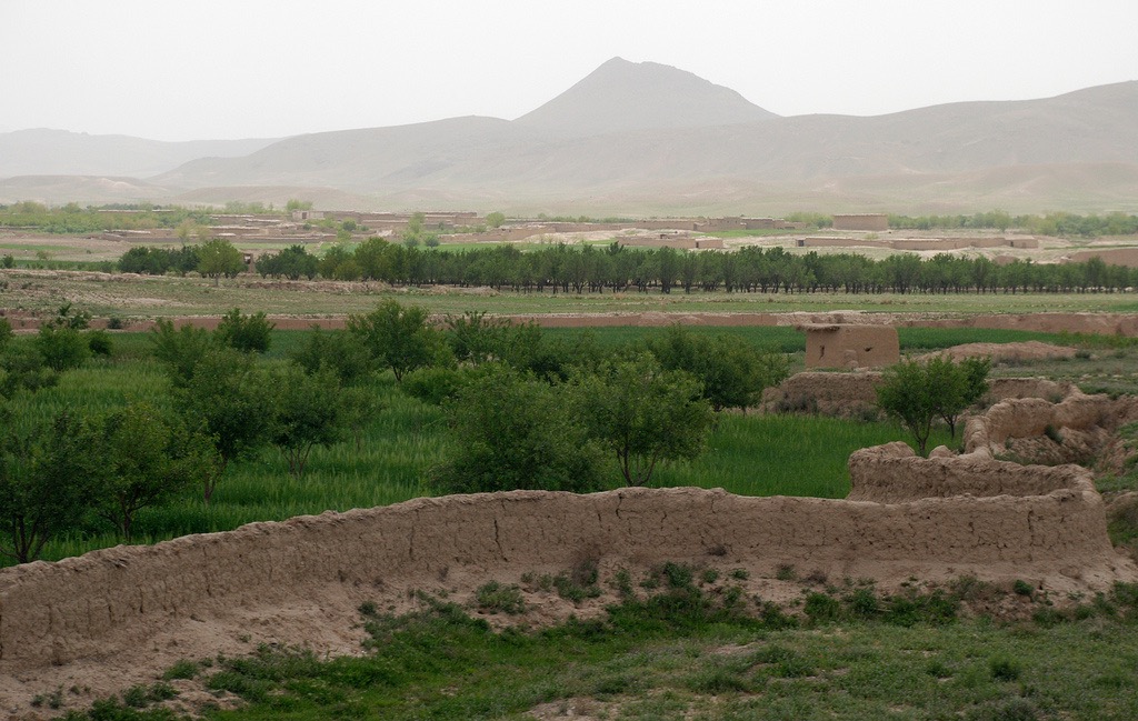 Zabul